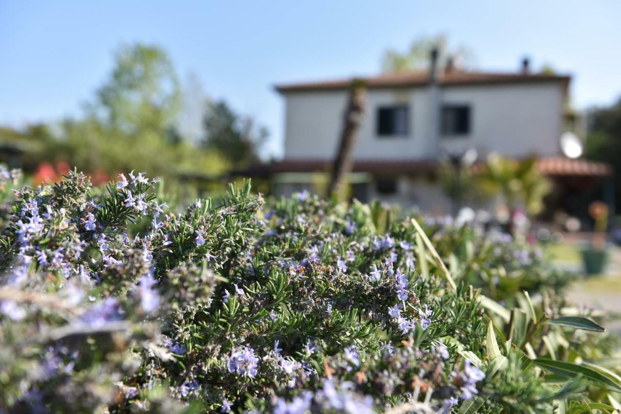 Villa Isabella Marina di Grosseto Exterior foto